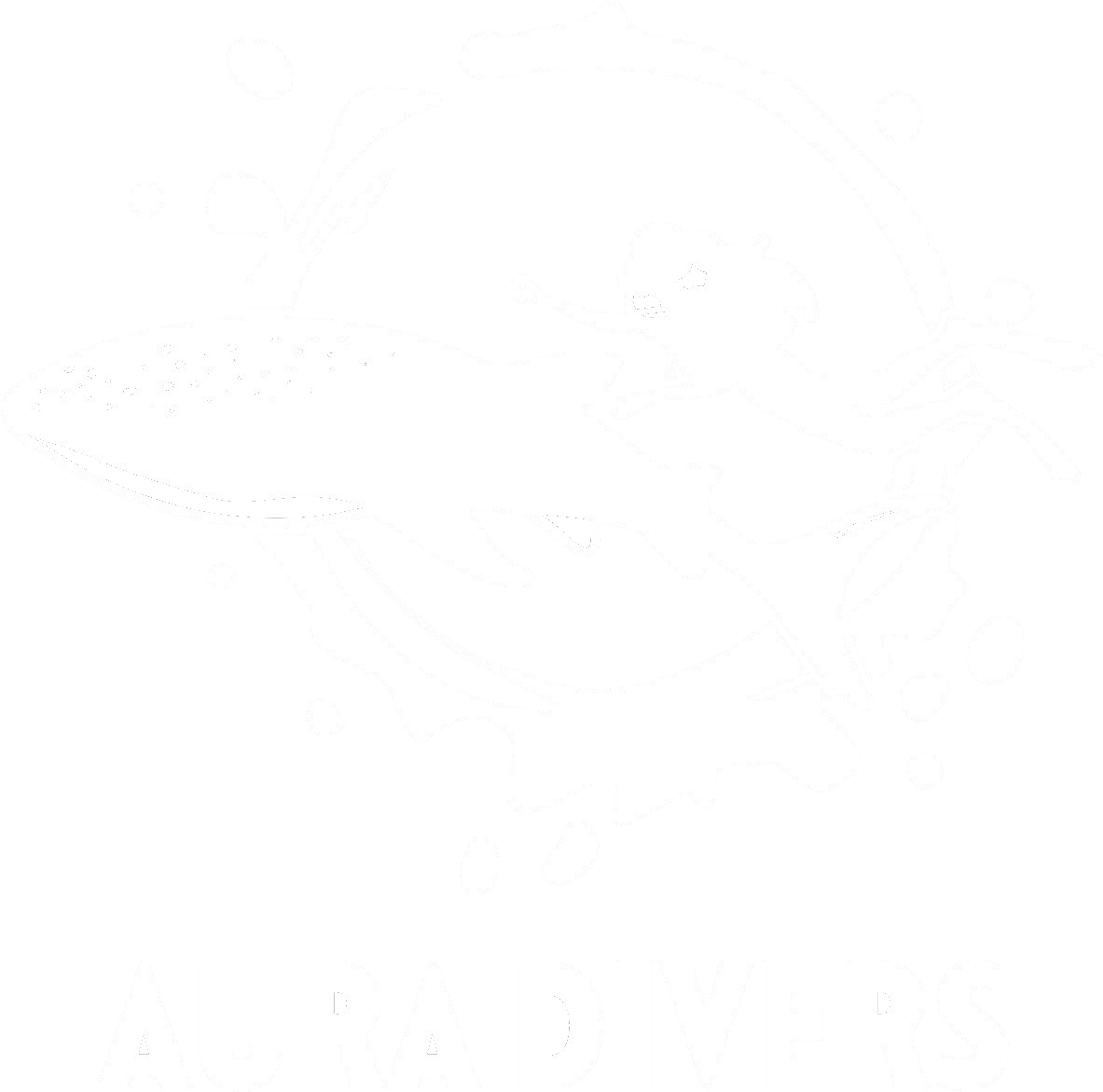 Aura Divers